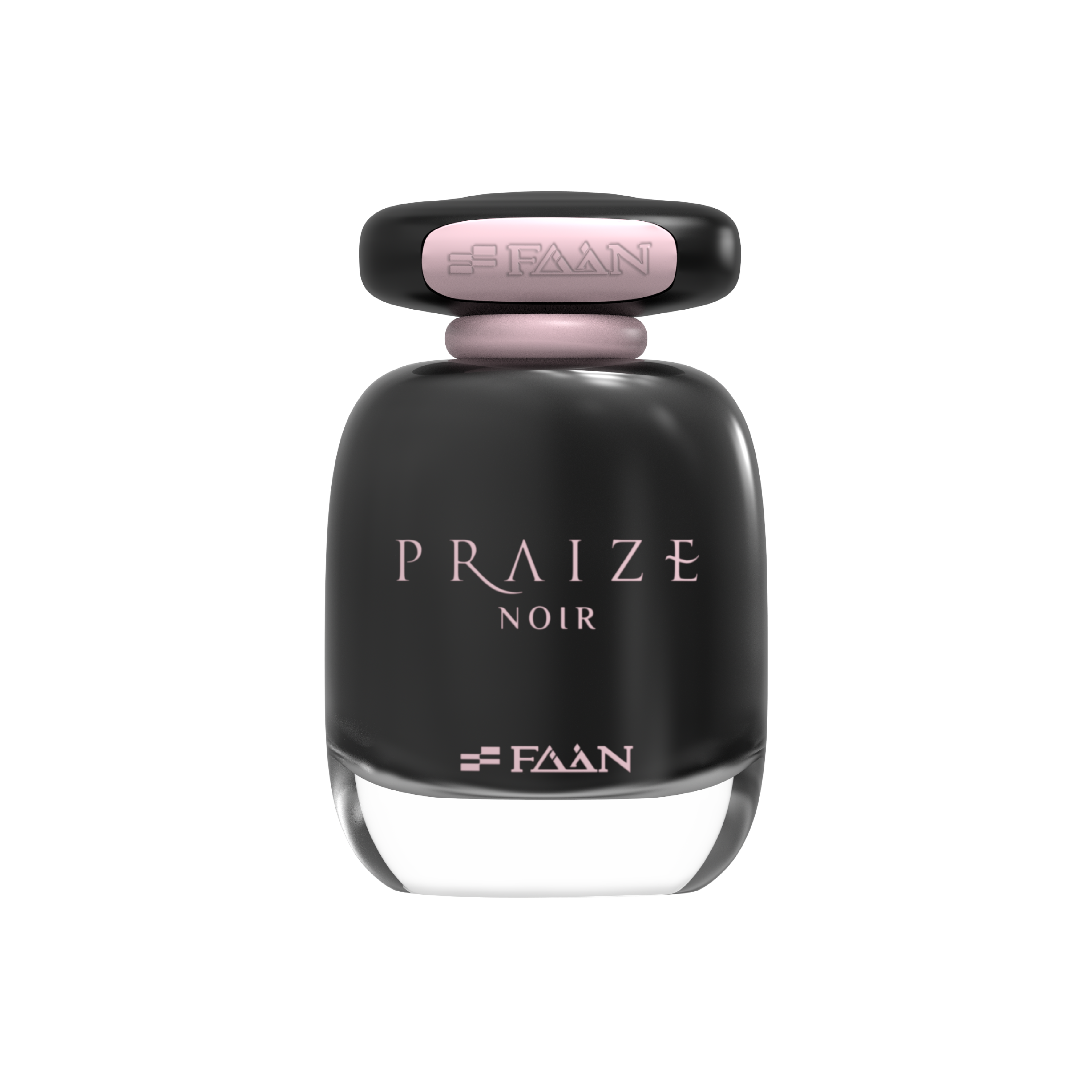 FAAN Praize Noir 100ML