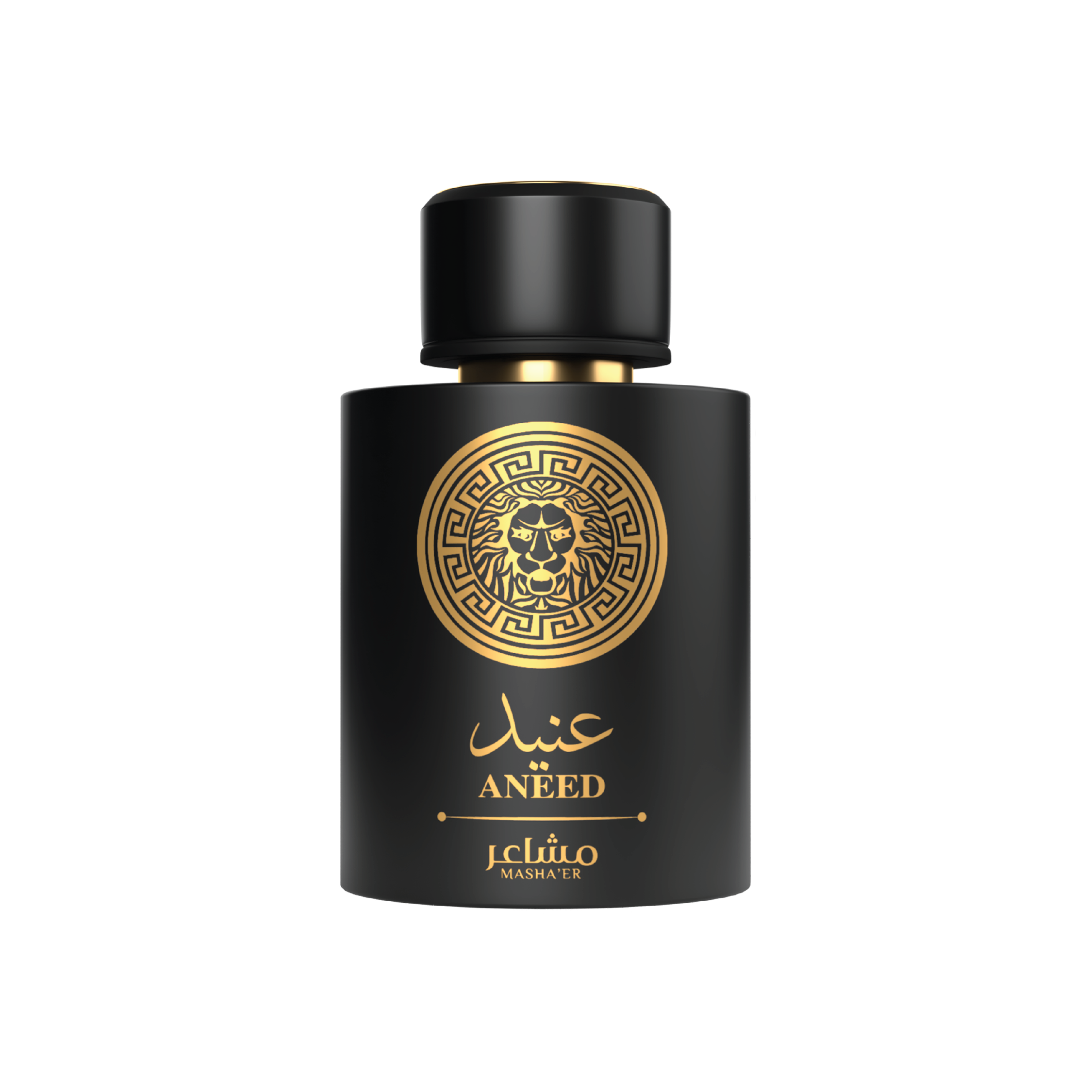 MASHAER ANEED 100ML