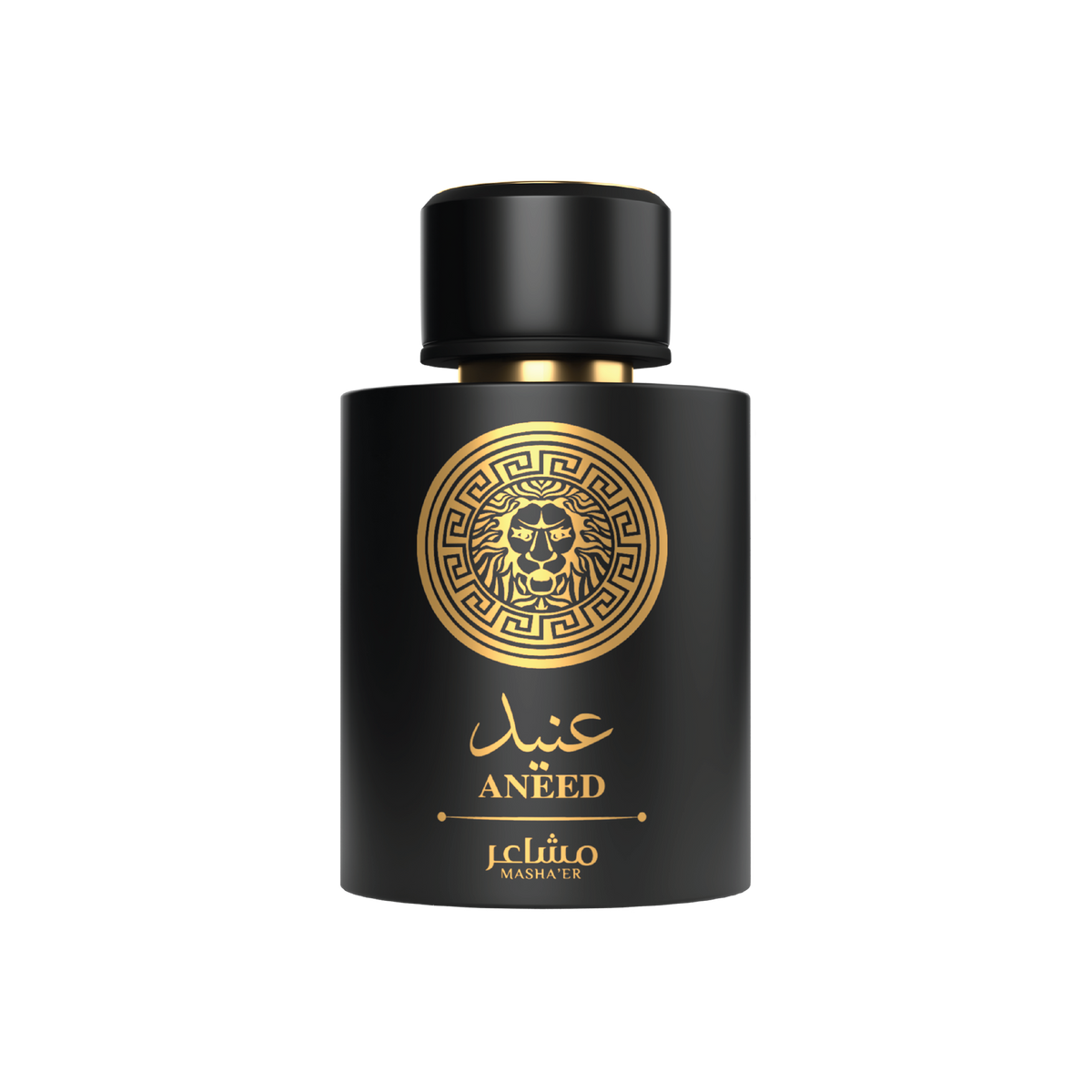 MASHAER ANEED 100ML