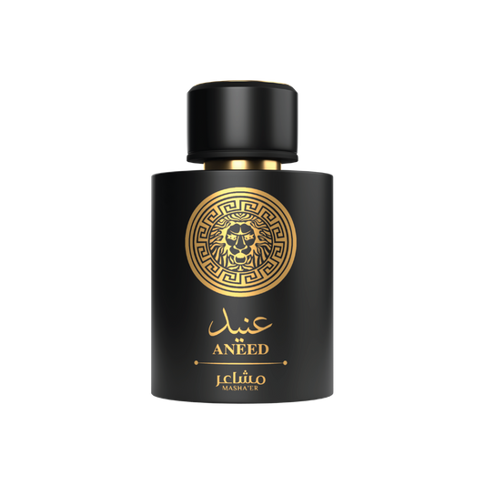 MASHAER ANEED 100ML