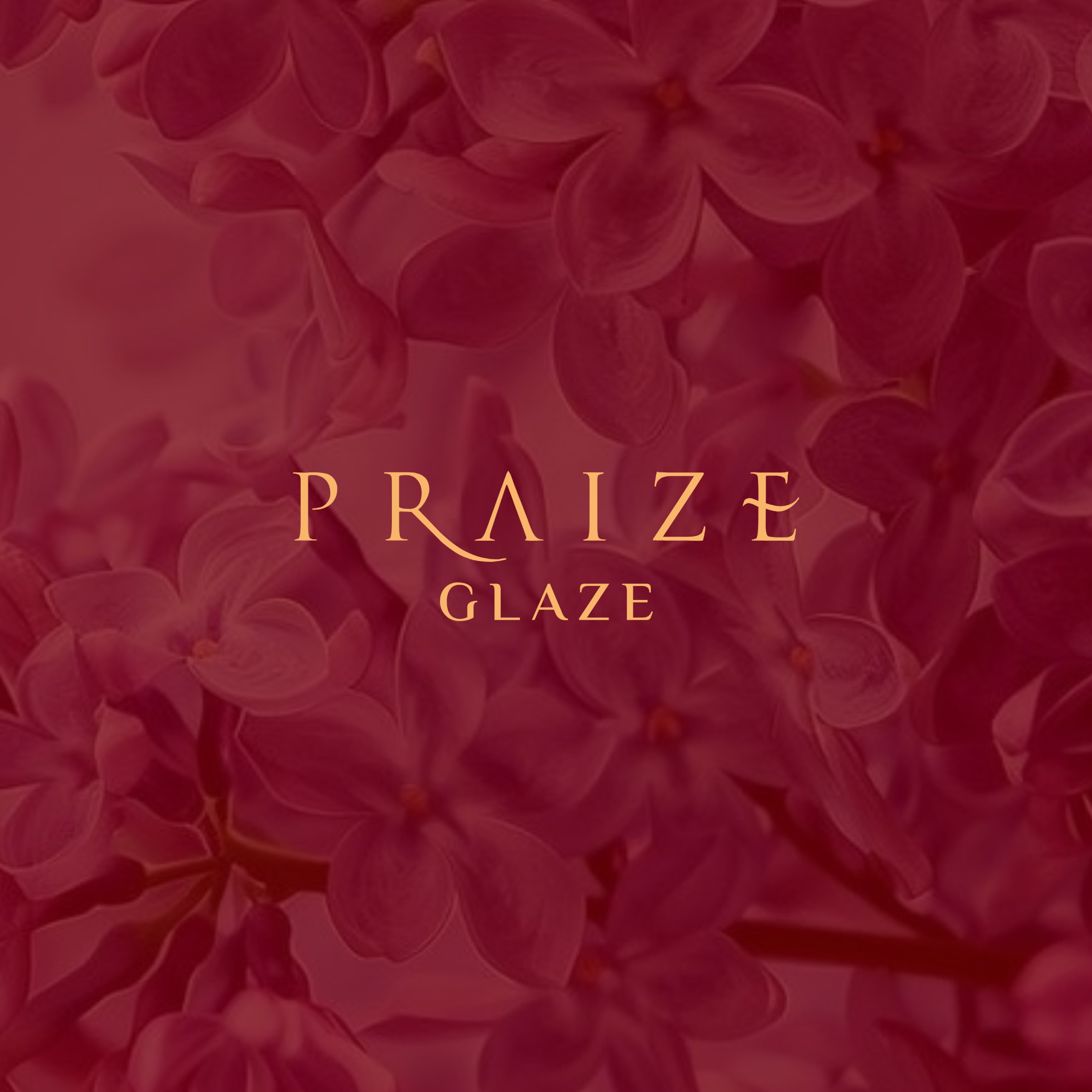 FAAN Praize Glaze 100ML