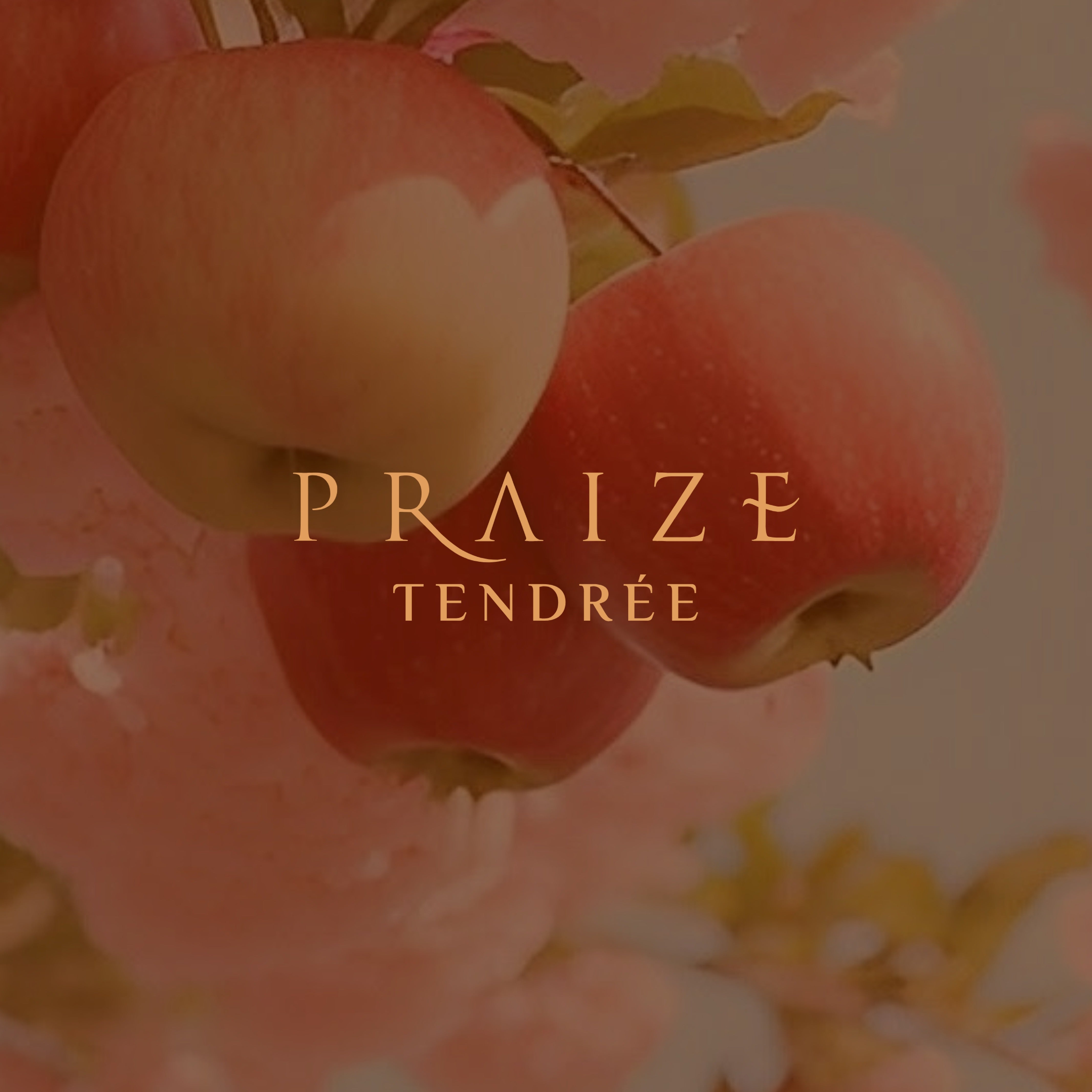 FAAN Praize Tendree 100ML